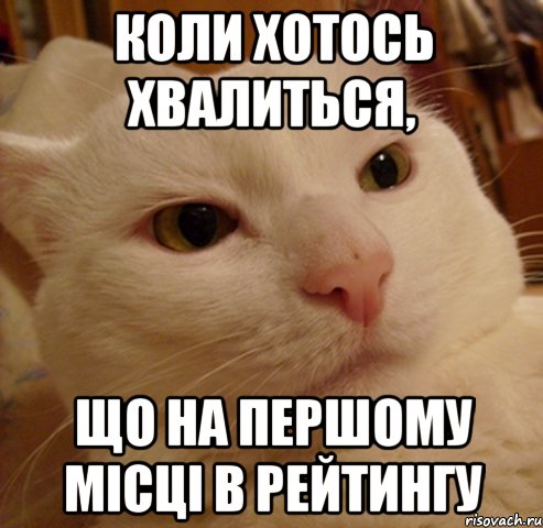 Коли хотось хвалиться, що на першому місці в рейтингу, Мем Дерзкий котэ