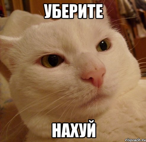 Уберите Нахуй, Мем Дерзкий котэ