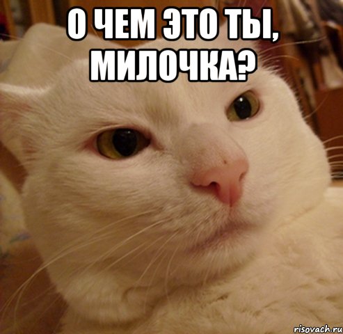 О чем это ты, милочка? , Мем Дерзкий котэ