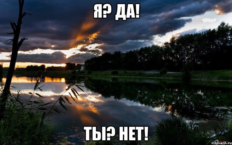 Я? Да! Ты? Нет!, Мем девушка моей мечты