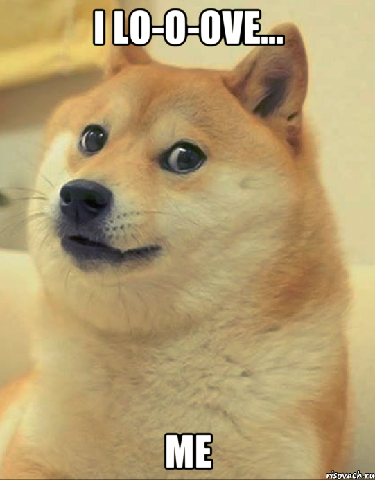 I lo-o-ove... me, Мем doge woof