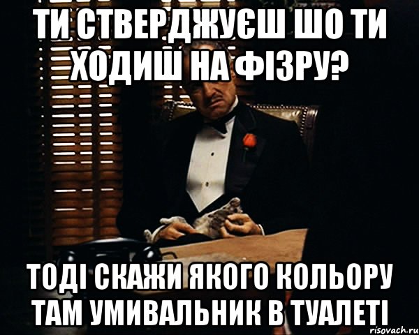 ти стверджуєш шо ти ходиш на фізру? тоді скажи якого кольору там умивальник в туалеті, Мем Дон Вито Корлеоне