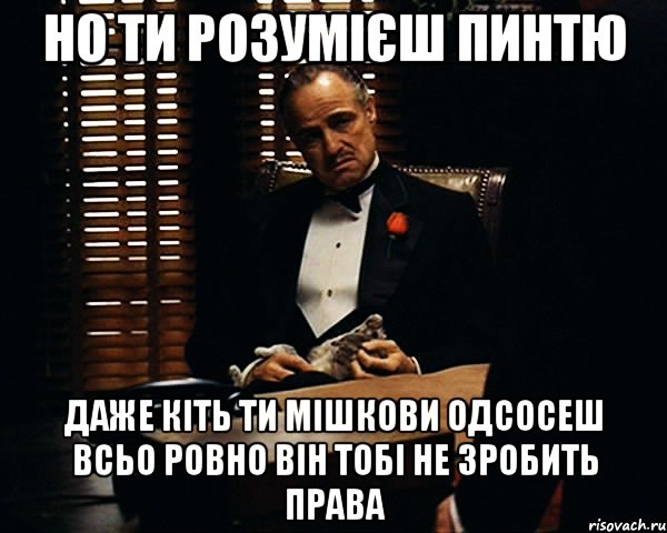 Но ти розумієш пинтю Даже кіть ти мішкови одсосеш всьо ровно він тобі не зробить права, Мем Дон Вито Корлеоне