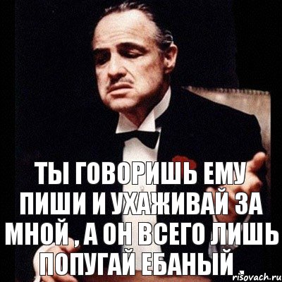 ты говоришь ему пиши и ухаживай за мной , а он всего лишь попугай ебаный ,, Комикс Дон Вито Корлеоне 1