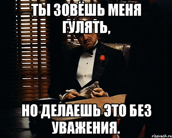 Ты зовёшь меня гулять, Но делаешь это без уважения., Мем Дон Вито Корлеоне