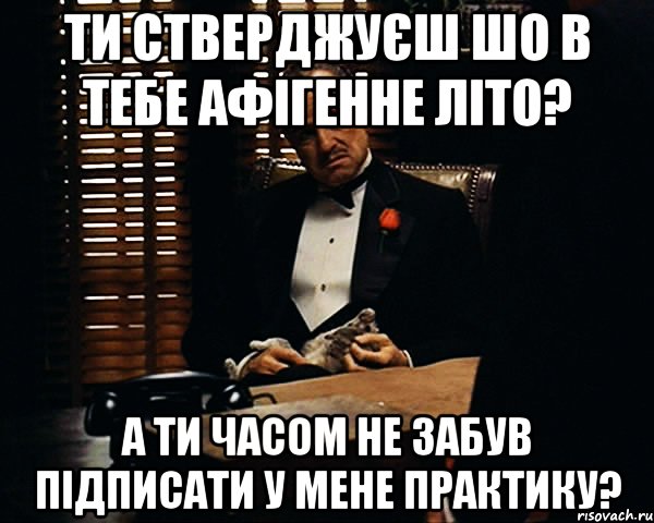 ти стверджуєш шо в тебе афігенне літо? а ти часом не забув підписати у мене практику?, Мем Дон Вито Корлеоне