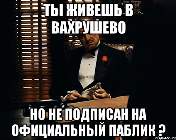 Ты живешь в Вахрушево Но не подписан на официальный паблик ?, Мем Дон Вито Корлеоне