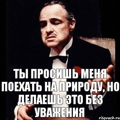 Ты просишь меня поехать на природу, но делаешь это без уважения, Комикс Дон Вито Корлеоне 1