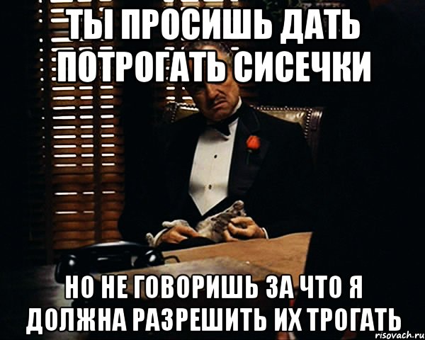 ты просишь дать потрогать сисечки но не говоришь за что я должна разрешить их трогать, Мем Дон Вито Корлеоне