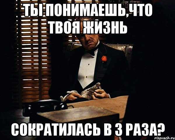 Ты понимаешь,что твоя жизнь сократилась в 3 раза?, Мем Дон Вито Корлеоне