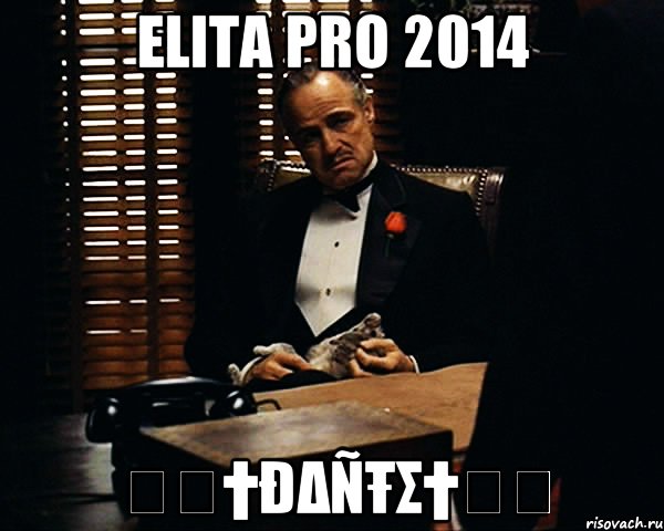 ELITA PRO 2014 ϟϟ†ĐΔÑŦΣ†ϟϟ, Мем Дон Вито Корлеоне