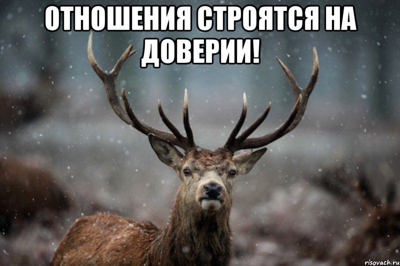 Отношения строятся на доверии! 