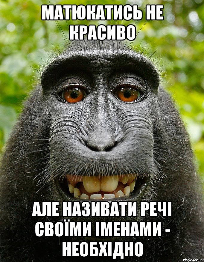 матюкатись не красиво але називати речі своїми іменами - необхідно, Мем  Довольная обезьяна