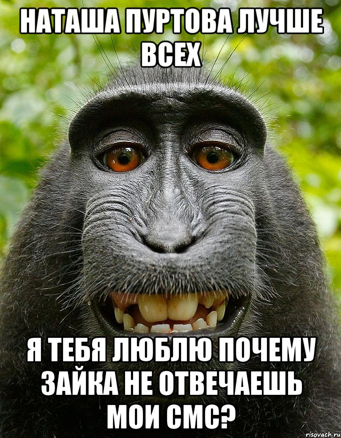 Наташа Пуртова Лучше всех Я тебя люблю Почему зайка не отвечаешь мои смс?, Мем  Довольная обезьяна