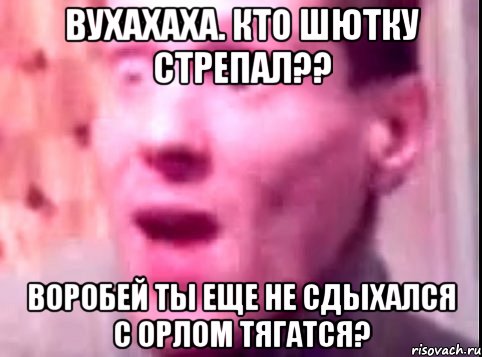 вУХахаха. кто шютку стрепал?? воробей ты еще не сдыхался с орлом тягатся?, Мем Дверь мне запили