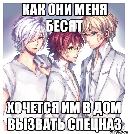 как они меня бесят хочется им в дом вызвать спецназ