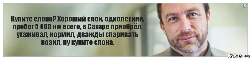 Купите слона? Хороший слон, однолетний, пробег 5 000 км всего, в Сахаре приобрёл, ухаживал, кормил, дважды спаривать возил, ну купите слона., Комикс Джимми