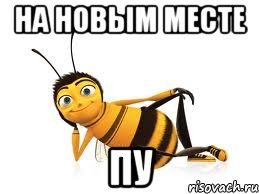 на новым месте пу