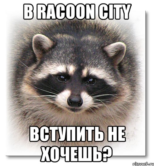 в RACOON CITY вступить не хочешь?