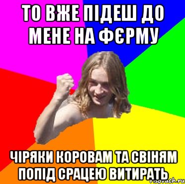 то вже підеш до мене на фєрму чіряки коровам та свіням попід срацею витирать