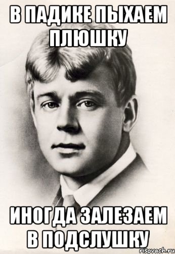 В падике пыхаем плюшку Иногда залезаем в Подслушку, Мем Есенин