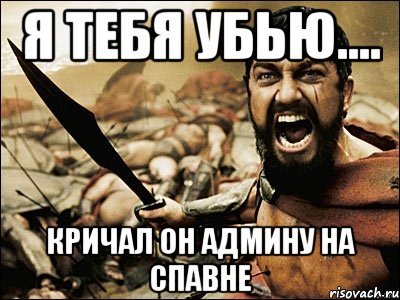 Я тебя убью.... Кричал он админу на спавне, Мем Это Спарта