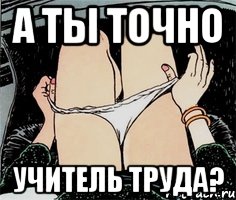 а ты точно учитель труда?, Мем А ты точно