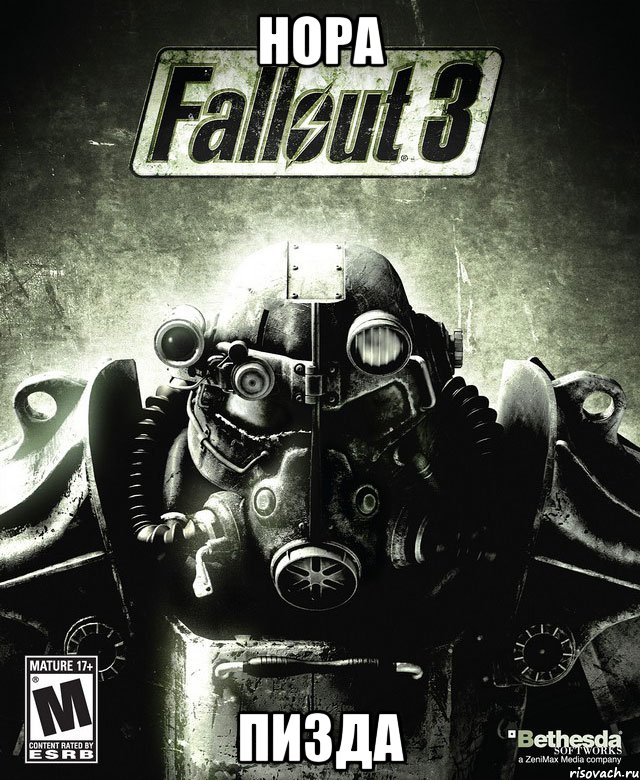 нора пизда, Мем Обложка Fallout 3