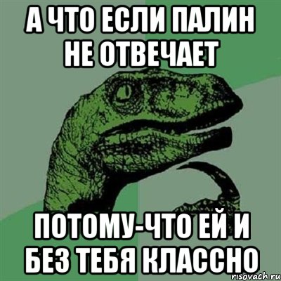 а что если ПАЛИН не отвечает потому-что ей и без тебя классно, Мем Филосораптор