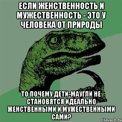 если женственность и мужественность - это у человека от природы то почему дети-маугли не становятся идеально женственными и мужественными сами?, Мем Филосораптор