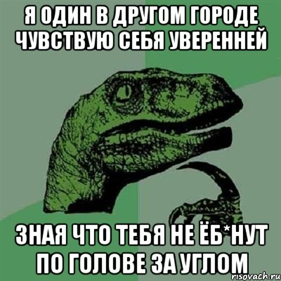 Я один в другом городе чувствую себя уверенней зная что тебя не ёб*нут по голове за углом, Мем Филосораптор