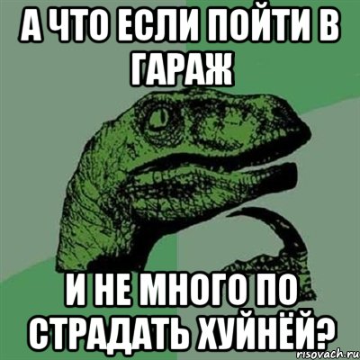 А что если пойти в гараж и не много по страдать хуйнёй?, Мем Филосораптор