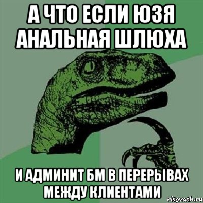 А что если юзя анальная шлюха и админит бм в перерывах между клиентами, Мем Филосораптор