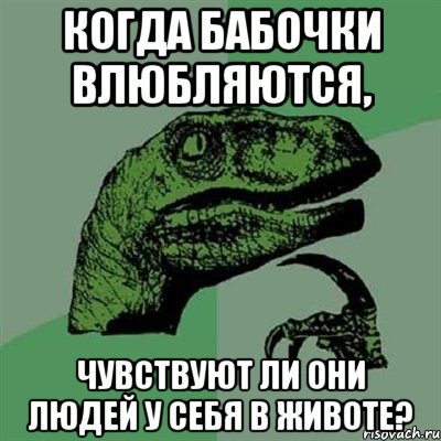 Когда бабочки влюбляются, чувствуют ли они людей у себя в животе?, Мем Филосораптор