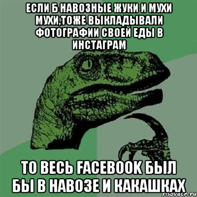 если б навозные жуки и мухи мухи,тоже выкладывали фотографии своей еды в инстаграм то весь Facebook был бы в навозе И КАКАШКАХ, Мем Филосораптор