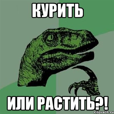 КУРИТЬ ИЛИ РАСТИТЬ?!, Мем Филосораптор