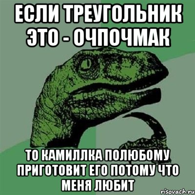 Если треугольник это - очпочмак то Камиллка полюбому приготовит его потому что меня любит, Мем Филосораптор