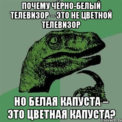 Почему чёрно-белый телевизор – это не цветной телевизор но белая капуста – это цветная капуста?, Мем Филосораптор