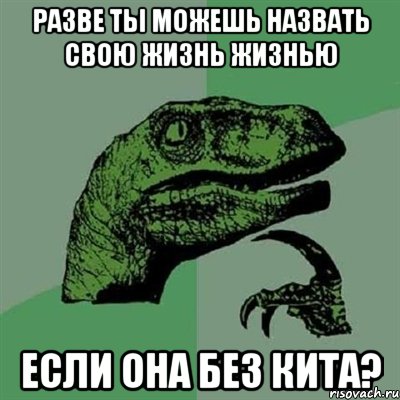 разве ты можешь назвать свою жизнь жизнью если она без кита?, Мем Филосораптор