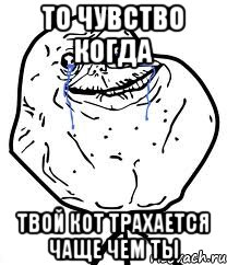 ТО ЧУВСТВО КОГДА ТВОЙ КОТ ТРАХАЕТСЯ ЧАЩЕ ЧЕМ ТЫ, Мем Forever Alone