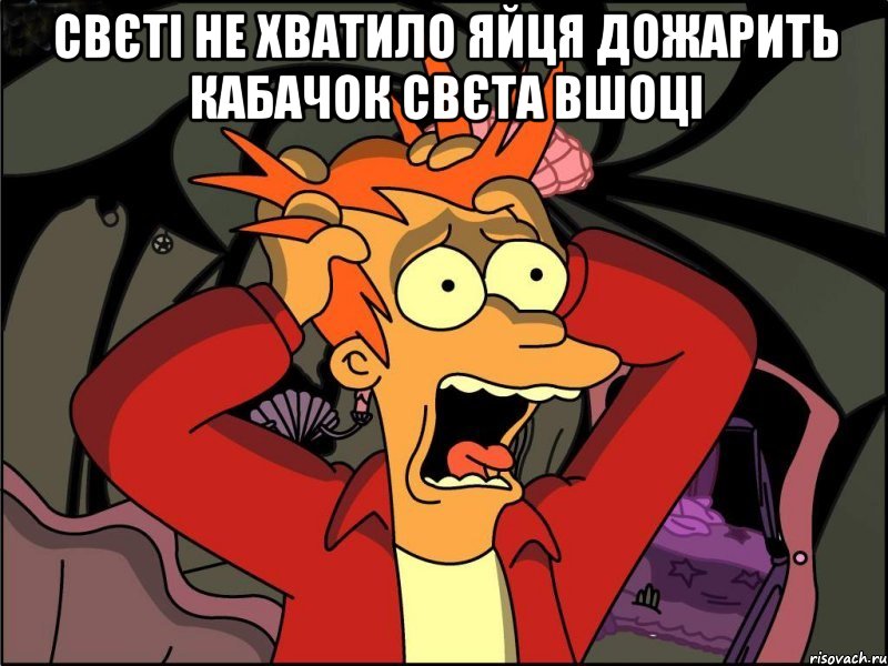 свєті не хватило яйця дожарить кабачок свєта вшоці , Мем Фрай в панике