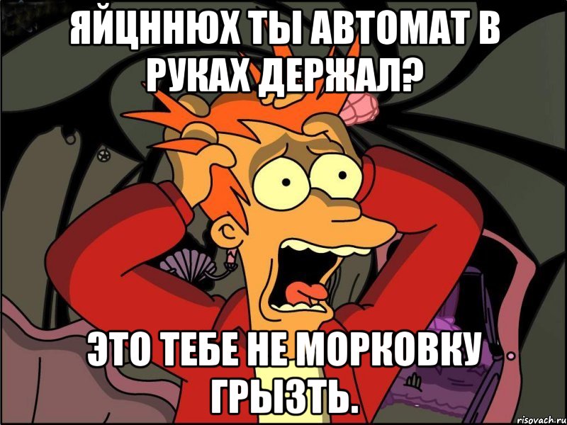 Яйцннюх ты автомат в руках держал? Это тебе не морковку грызть., Мем Фрай в панике