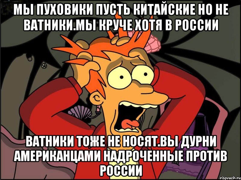 Мы пуховики пусть китайские но не ватники.мы круче хотя в россии Ватники тоже не носят.вы дурни американцами надроченные против россии, Мем Фрай в панике