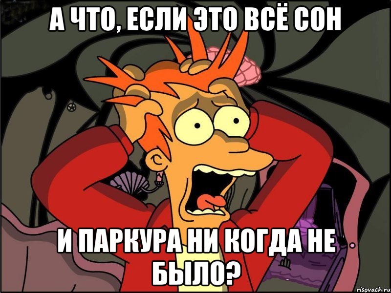 А что, если это всё сон И паркура ни когда не было?, Мем Фрай в панике