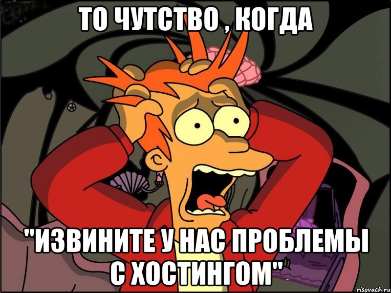 То чутство , когда "Извините у нас проблемы с хостингом", Мем Фрай в панике