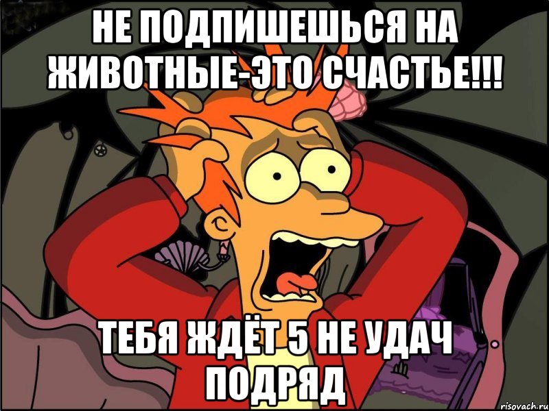 Не подпишешься на животные-это счастье!!! Тебя ждёт 5 не удач подряд, Мем Фрай в панике