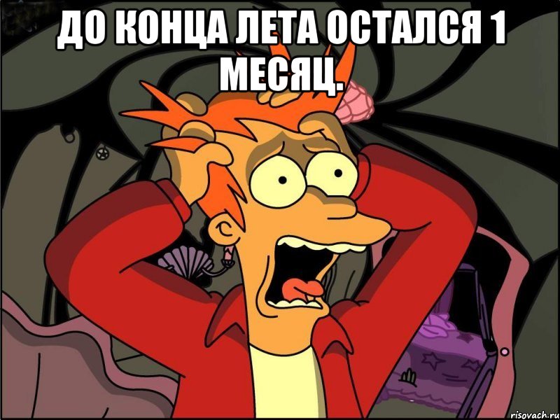 До конца лета остался 1 месяц. , Мем Фрай в панике