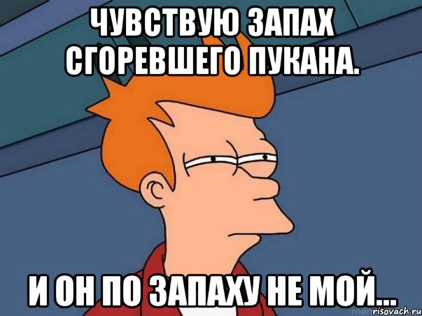 Чувствую запах сгоревшего пукана. И он по запаху не мой..., Мем  Фрай (мне кажется или)