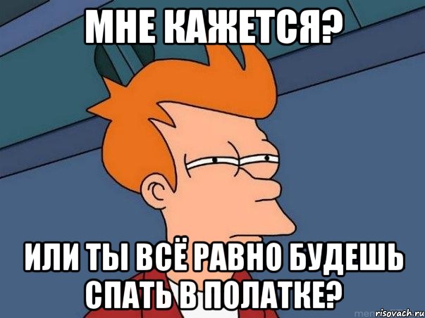 мне кажется? Или ты всё равно будешь спать в полатке?, Мем  Фрай (мне кажется или)