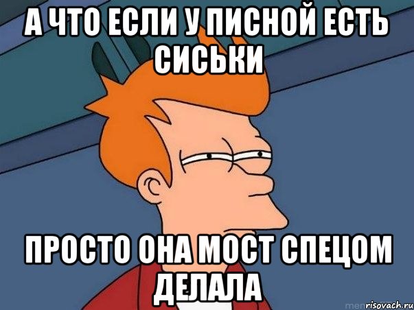 А что если у Писной есть сиськи Просто она мост спецом делала, Мем  Фрай (мне кажется или)